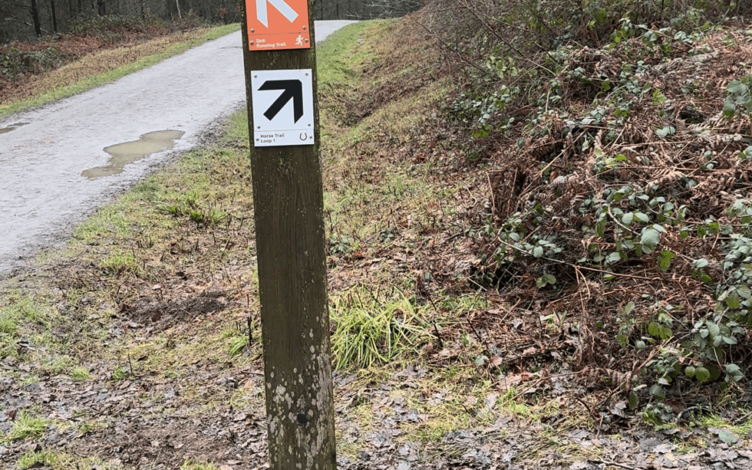 The Road We Didn’t Take: August Reflections on Mid-Year Course Corrections